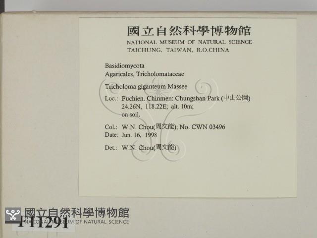 登錄號:F0011291藏品圖，第2張