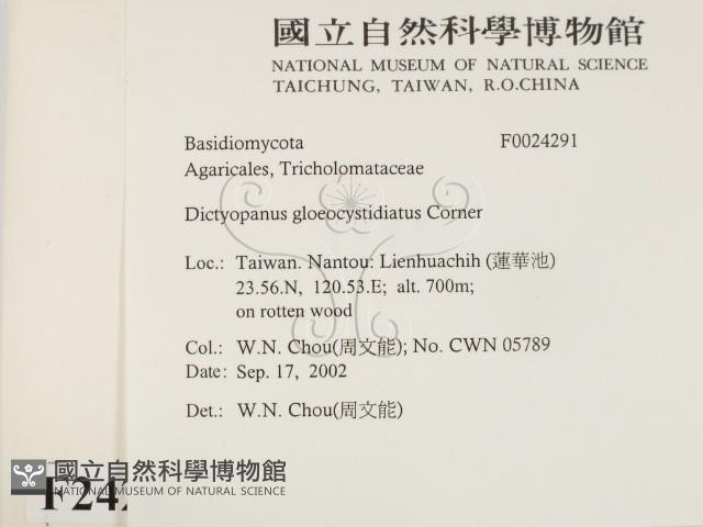 登錄號:F0024291藏品圖，第2張