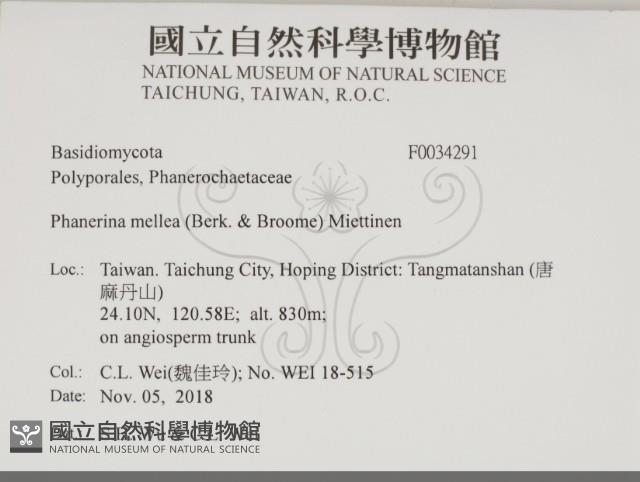 登錄號:F0034291藏品圖，第2張