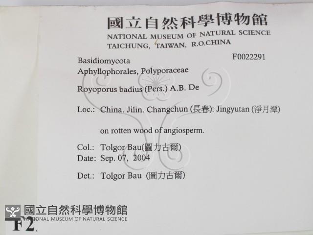 登錄號:F0022291藏品圖，第2張