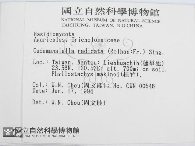 登錄號:F0002291藏品圖，第2張