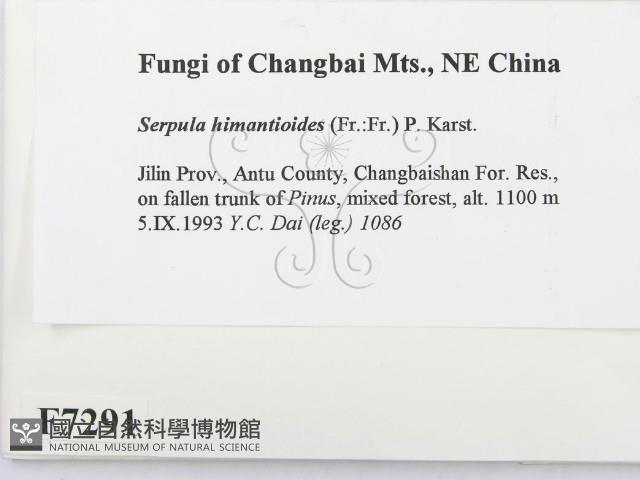 登錄號:F0007291藏品圖，第2張