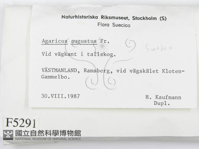 登錄號:F0005291藏品圖，第2張