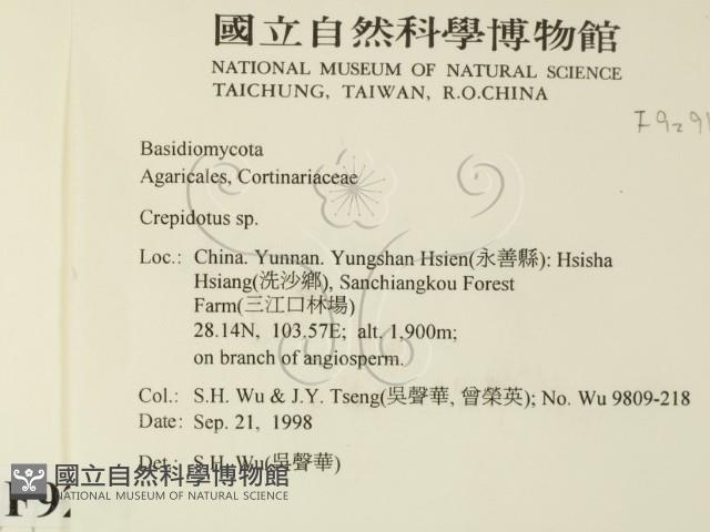 登錄號:F0009291藏品圖，第2張