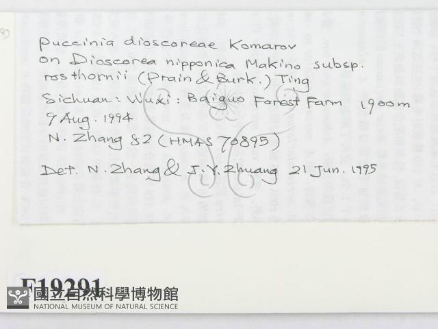 登錄號:F0019291藏品圖，第2張