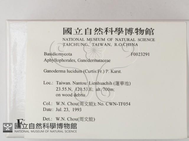 登錄號:F0023291藏品圖，第2張