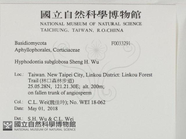 登錄號:F0033291藏品圖，第2張