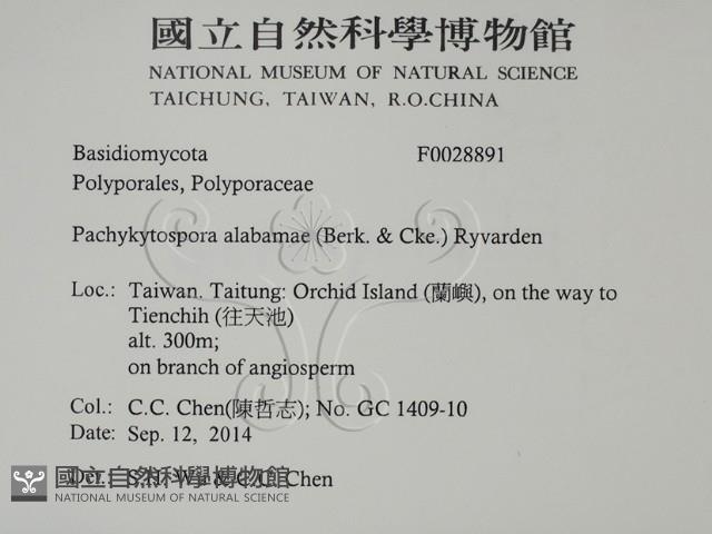 登錄號:F0028891藏品圖，第2張