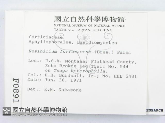 登錄號:F0000891藏品圖，第2張