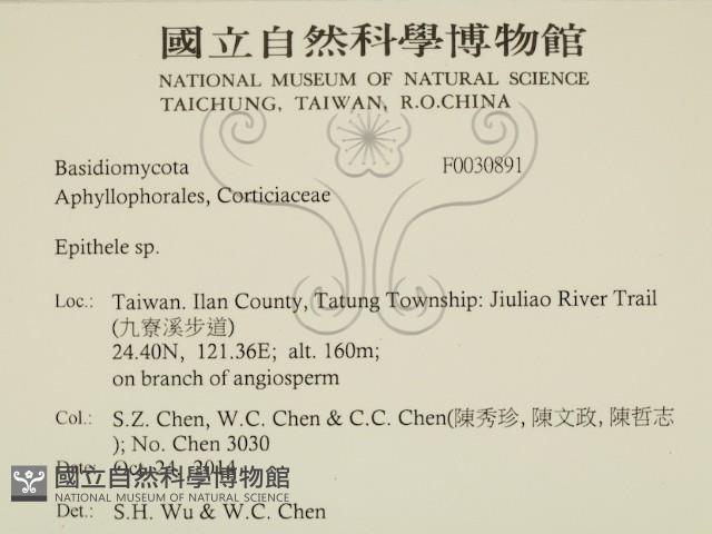 登錄號:F0030891藏品圖，第2張