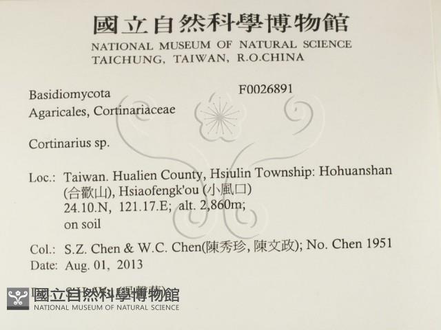 登錄號:F0026891藏品圖，第2張