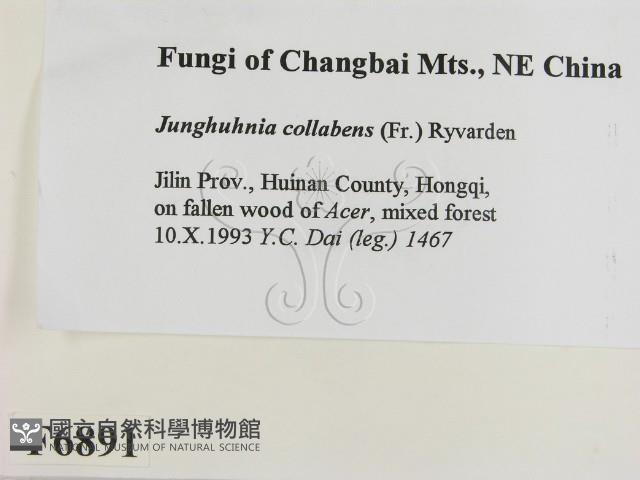 登錄號:F0006891藏品圖，第2張