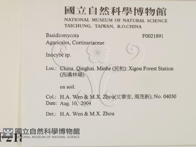 登錄號:F0021891藏品圖，第2張