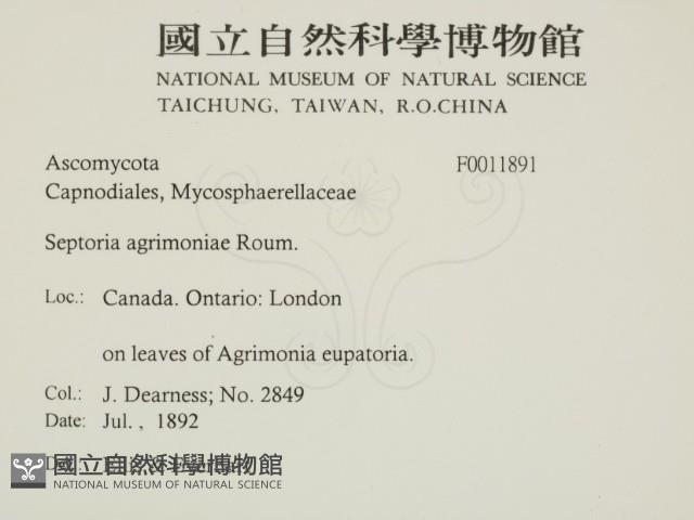 登錄號:F0011891藏品圖，第2張