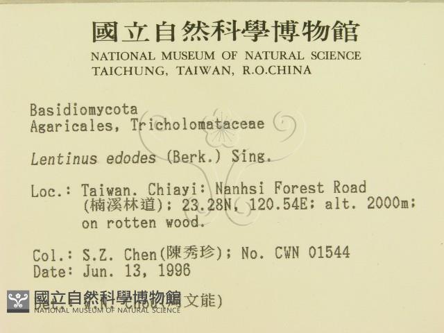 登錄號:F0004891藏品圖，第2張