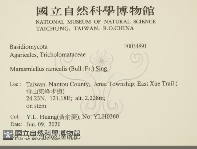 Accession Number:F0034891 Collection Image, Figure 2, Total 2 Figures