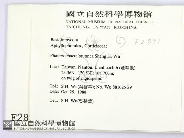 登錄號:F0002891藏品圖，第2張