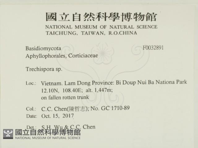 登錄號:F0032891藏品圖，第2張