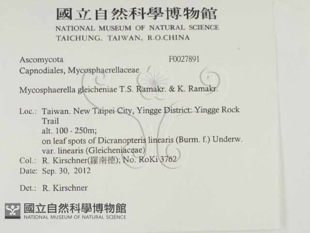 登錄號:F0027891藏品圖，第2張