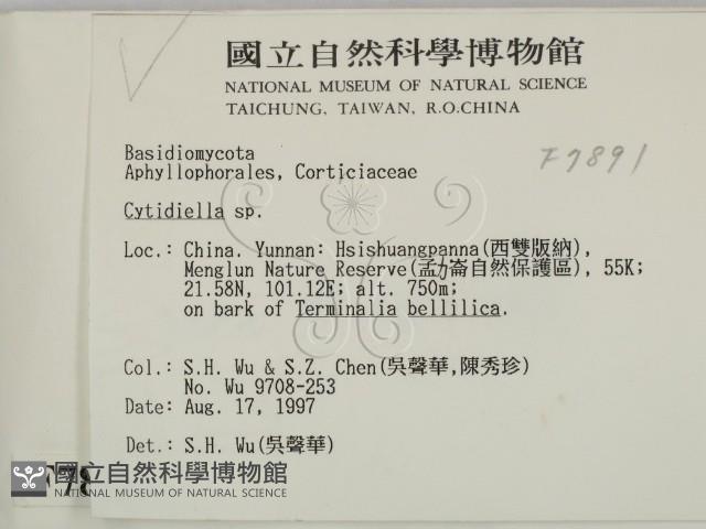 登錄號:F0007891藏品圖，第2張