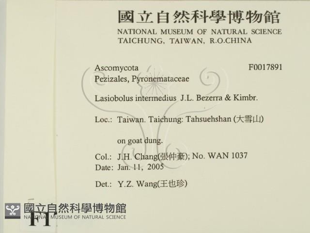 登錄號:F0017891藏品圖，第2張