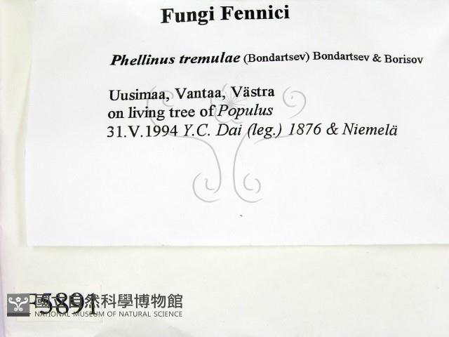 登錄號:F0005891藏品圖，第2張
