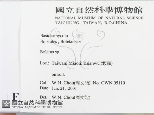 登錄號:F0015891藏品圖，第2張