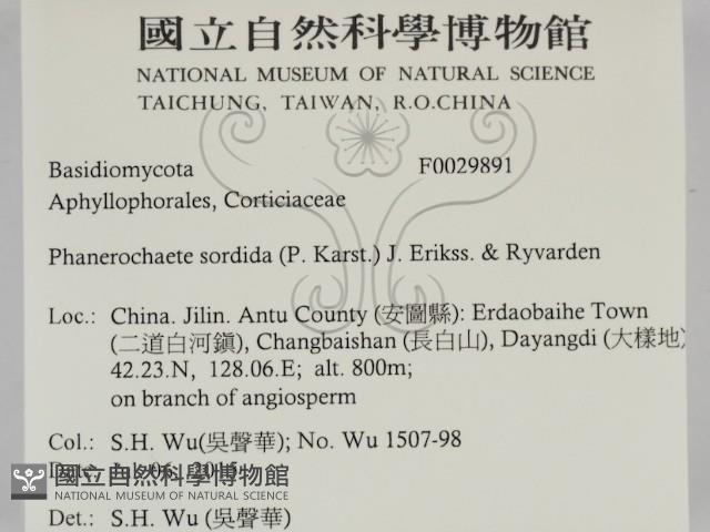 登錄號:F0029891藏品圖，第2張
