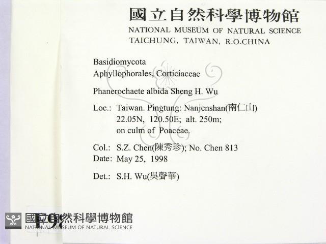 登錄號:F0009891藏品圖，第2張