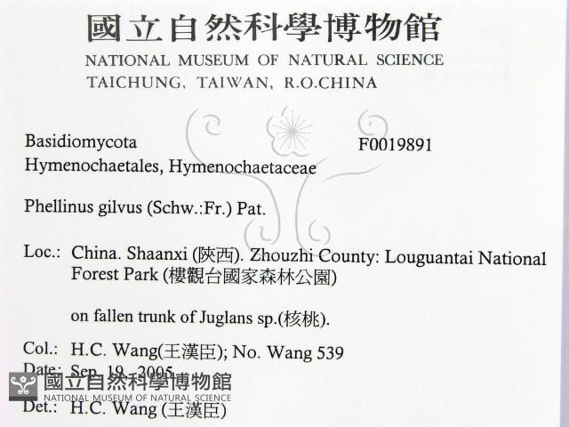 登錄號:F0019891藏品圖，第2張