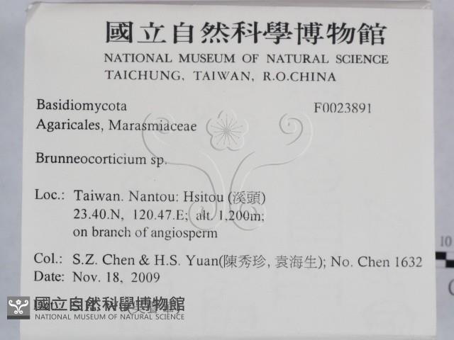 登錄號:F0023891藏品圖，第2張