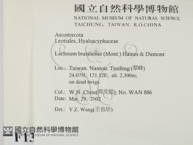 登錄號:F0013891藏品圖，第2張