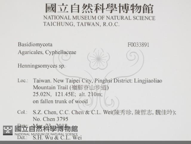 登錄號:F0033891藏品圖，第2張