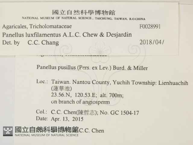 登錄號:F0028991藏品圖，第2張