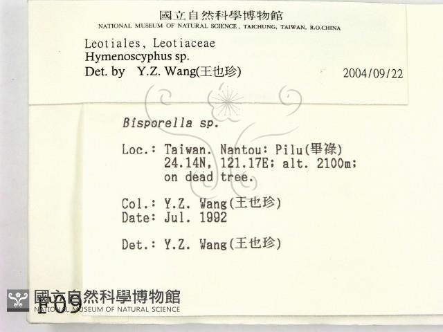 登錄號:F0000991藏品圖，第2張