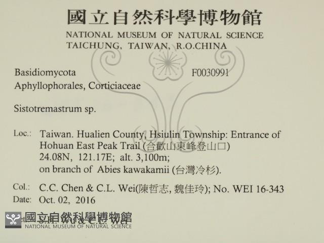 登錄號:F0030991藏品圖，第2張