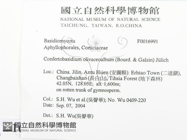 登錄號:F0016991藏品圖，第2張