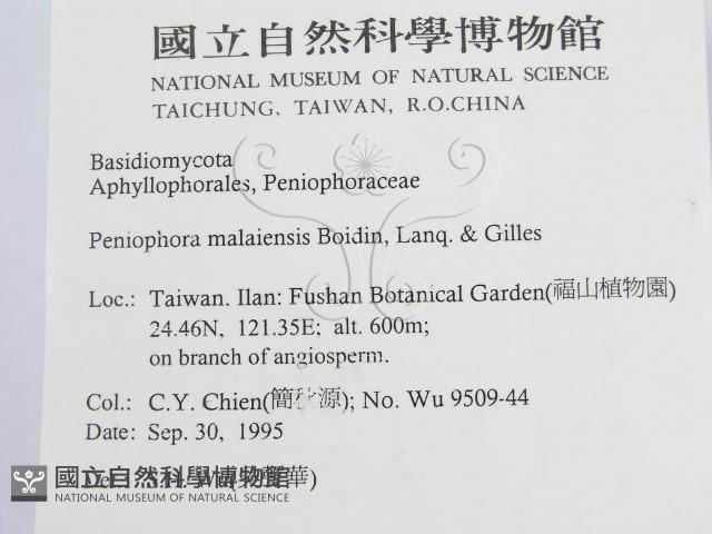 登錄號:F0011991藏品圖，第2張