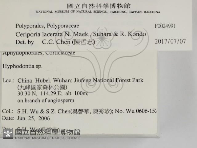 登錄號:F0024991藏品圖，第2張