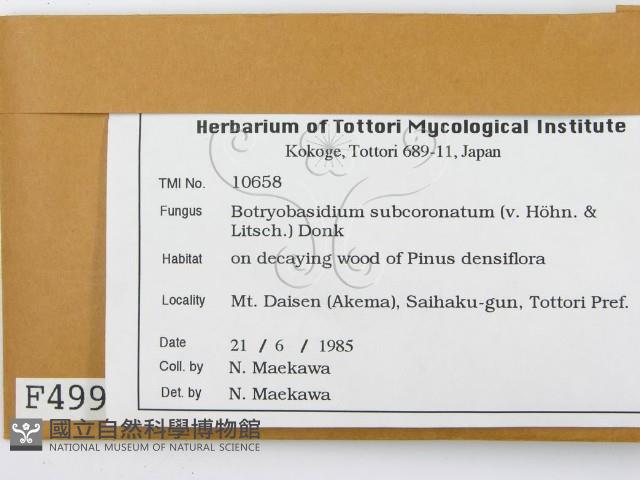 登錄號:F0004991藏品圖，第2張