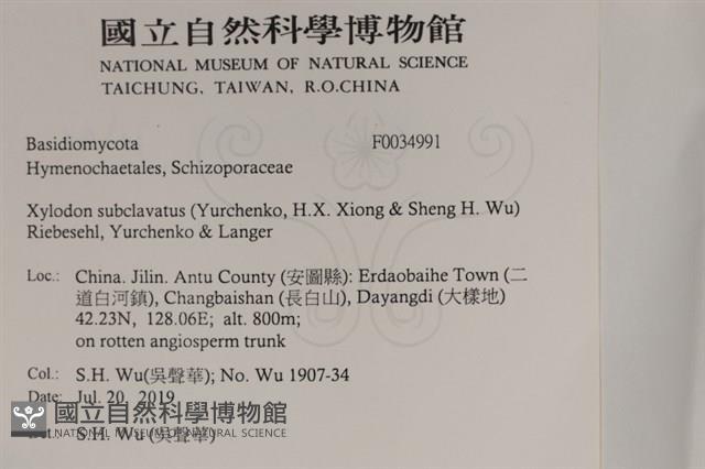 登錄號:F0034991藏品圖，第2張