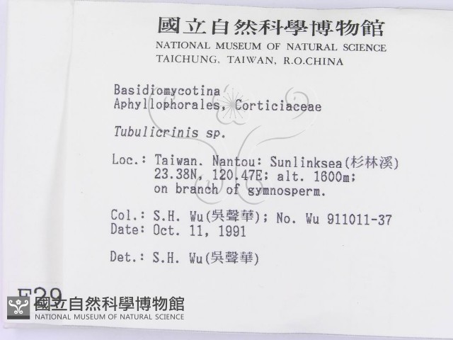 登錄號:F0002991藏品圖，第2張