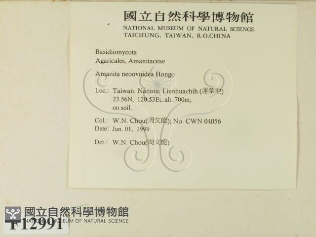 登錄號:F0012991藏品圖，第2張