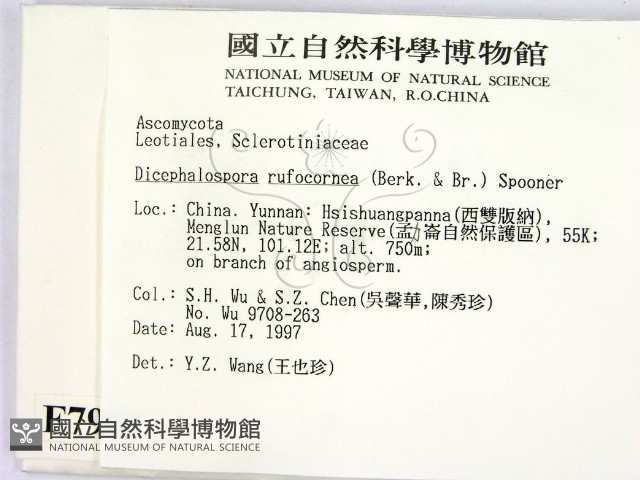 登錄號:F0007991藏品圖，第2張