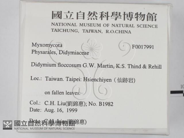 登錄號:F0017991藏品圖，第2張