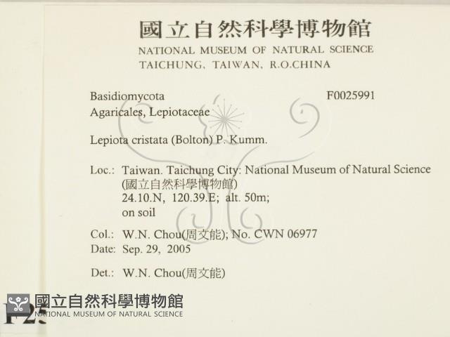 登錄號:F0025991藏品圖，第2張