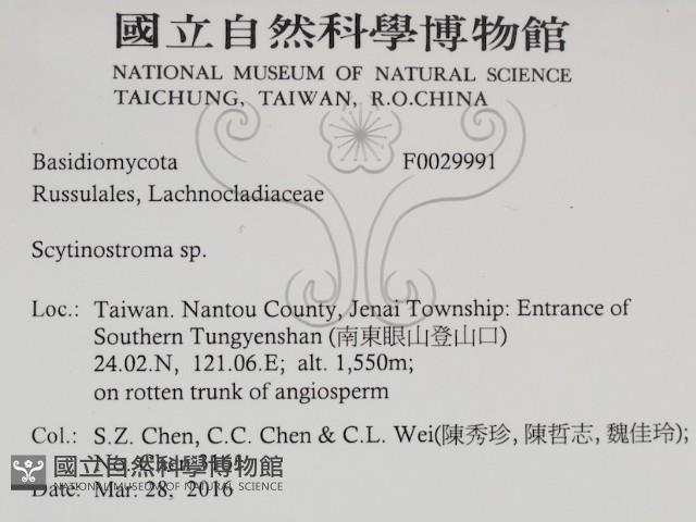 登錄號:F0029991藏品圖，第2張