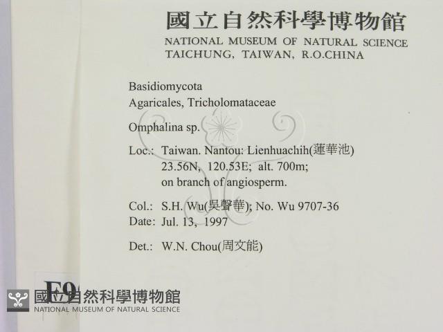 登錄號:F0009991藏品圖，第2張