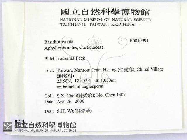 登錄號:F0019991藏品圖，第2張