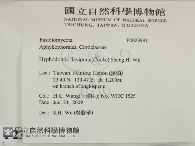 登錄號:F0023991藏品圖，第2張